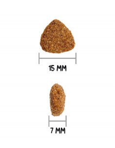 Croquettes chien Ownat... 2