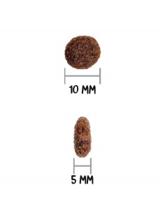 Croquettes chien Ownat... 2