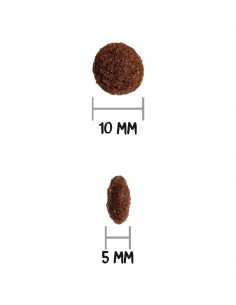 Croquettes chien Ownat... 2