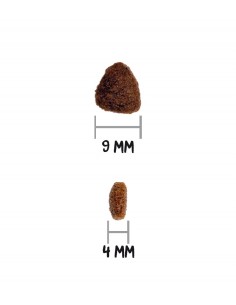 Croquettes chat Ownat... 2