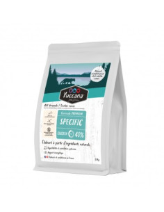 Coffret Noël Chat 2