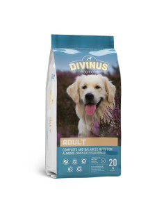 Croquettes chien Divinus...