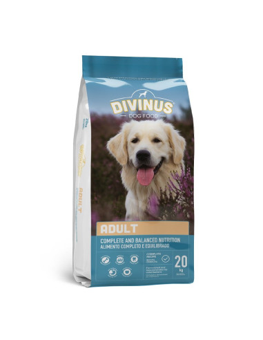Croquettes chien Divinus adult - 20kg
