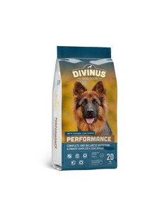 Croquettes chien Divinus...