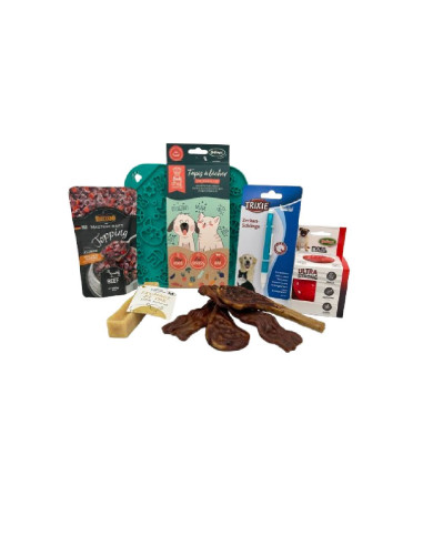 Coffret saison Printemps/Été pour chien
