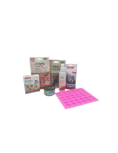 Coffret saison Printemps/Été pour chat