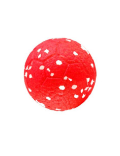 Ultra Strong ball pour chien