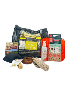 Coffret Découverte Chien