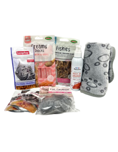 Coffret Saison Automne/Hiver Chat Coffret Saison Automne/Hiver Chat