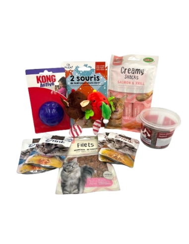 Coffret Noël Chat Coffret Noël Chat