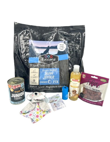 Coffret Chiot Coffret Chiot