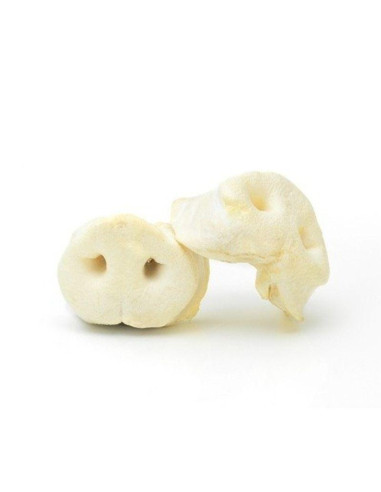 Nez de cochon - Yuccana