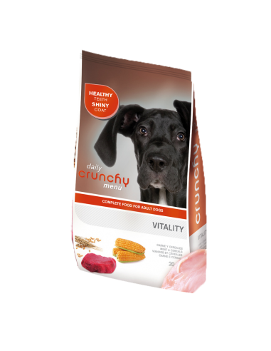 Croquettes Chien Crunchy Diary Vitality