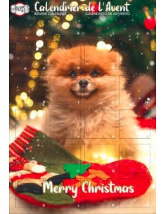 Calendrier de l'Avent chien