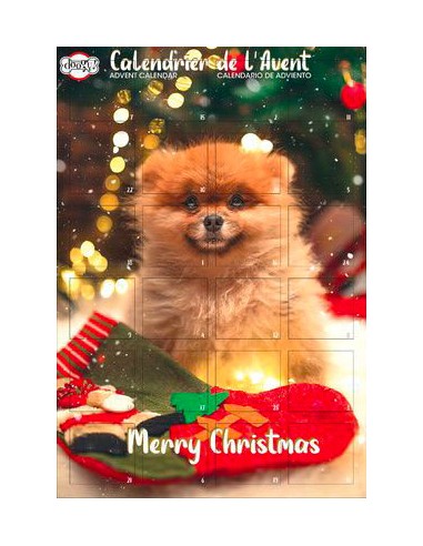 Calendrier de l'Avent chien