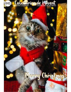Calendrier de l'Avent chat