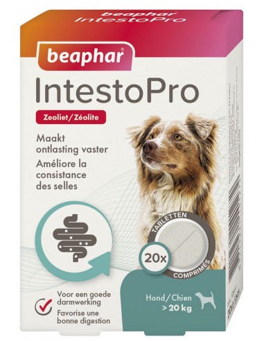 Intestopro - Grand chien - 20...