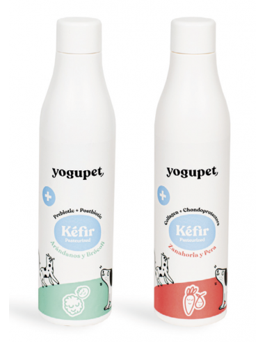 Kéfirs pour chiens et chats - Yogupet