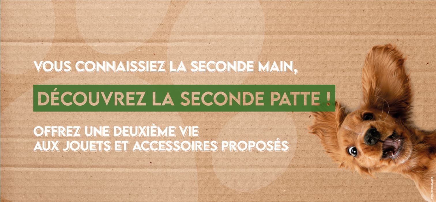 2nde patte Slide background