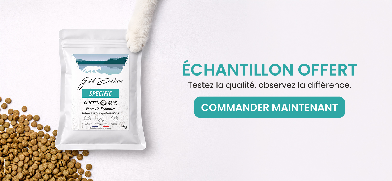échantillon offert Slide background