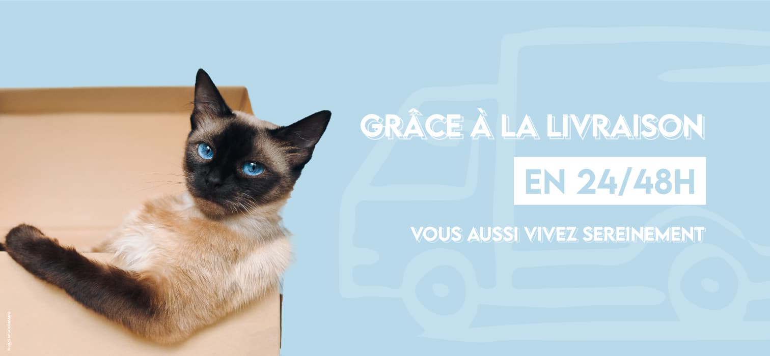 Livraison Slide background