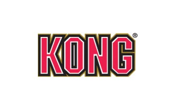 Logo kong
