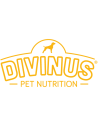Divinus