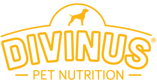 Logo Divinus