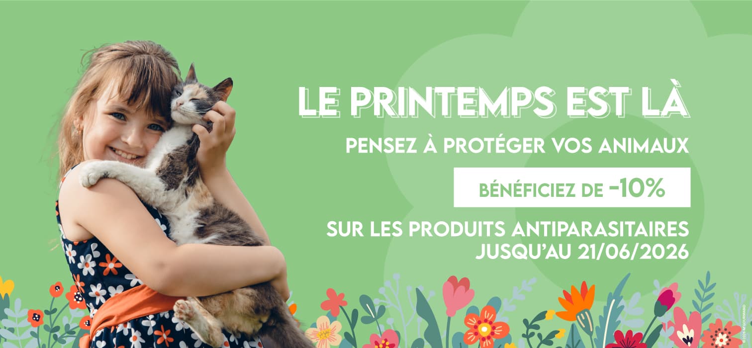 Printemps 2026 Slide background