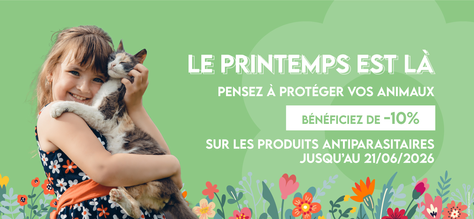 Printemps 2026 Slide background