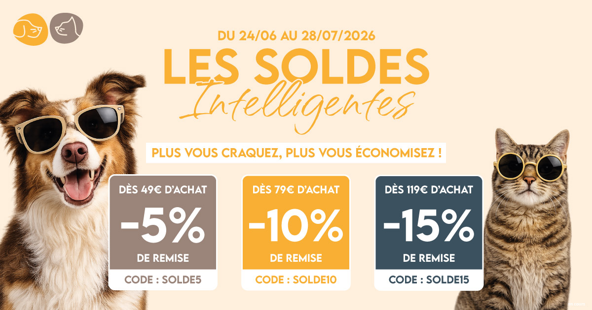 SOLDES Slide background